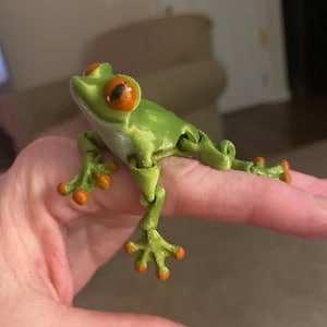 Lora a ajouté une photo de son achat