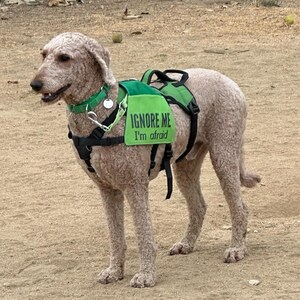 „Dog Reactive“ Warnweste Für Hunde – Atmungsaktive Service-Jacke Mit Aufdruck (Größen M & L)