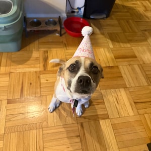 Amanda ha añadido una foto de su compra