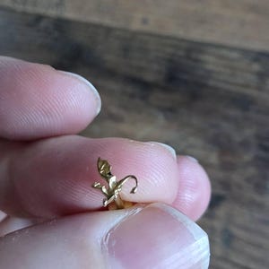 Angelique heeft een foto van de aankoop toegevoegd