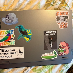 Lita added a photo of their purchase