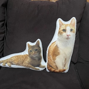 Amy added a photo of their purchase