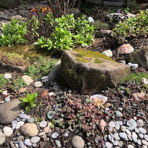 Julie added a photo of their purchase