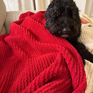 Brenna added a photo of their purchase