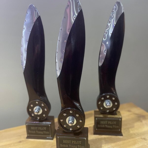 Propeller Trophy Pilot Award - Etsy