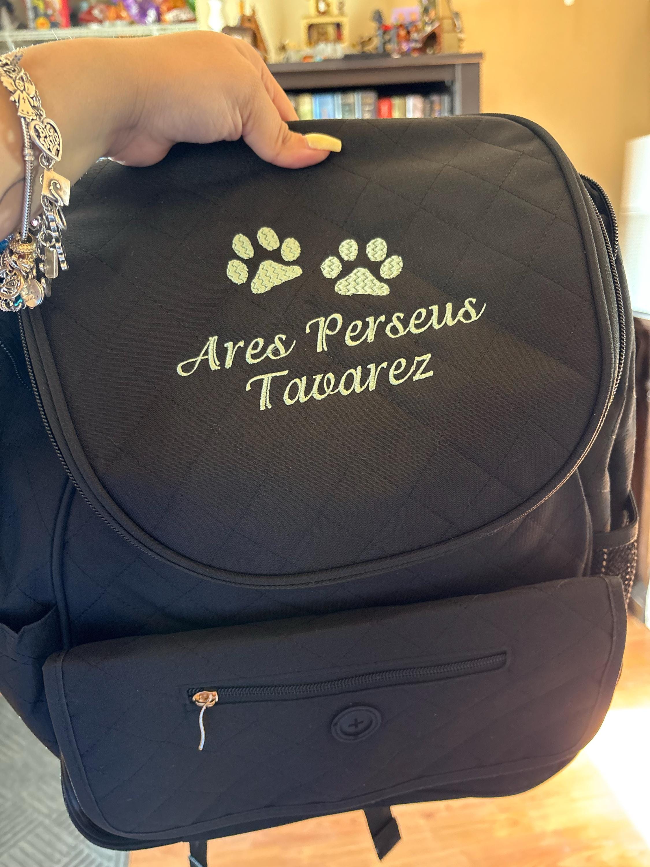 Personalized Pet Bag, Pet Tote, Dog Travel Bag, Dog Owner, Pet Backpack Travel Bag, Pet Bag with BOWLS, New puppy