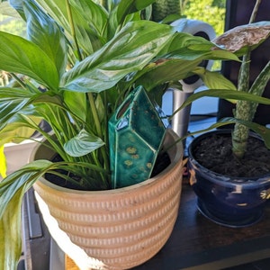 Samantha added a photo of their purchase