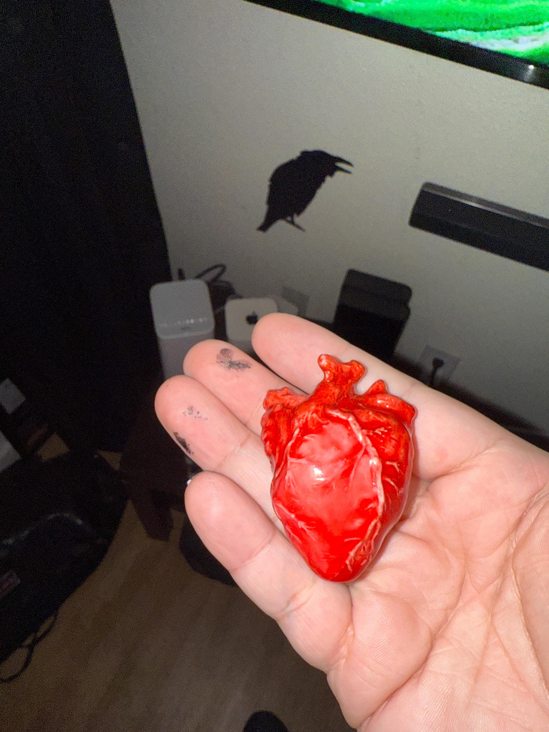 Life Size Human Heart,Handmade Heart,Realistic Heartc,Bloody Heart
