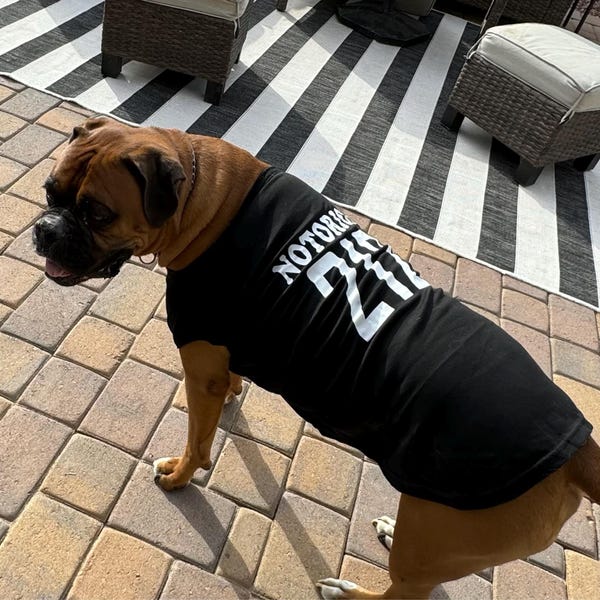 Portugal Dog Jersey or Ruffle Dress – Soccer Cup 2026 | Custom Pet Soccer Shirt ⚽️🐾 main image 1