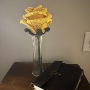 Hailey added a photo of their purchase