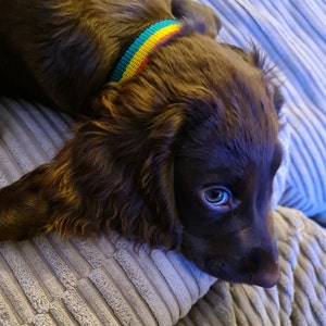 Barry added a photo of their purchase