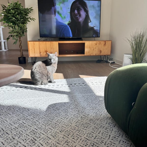 Color Chart of Classic STAINS Included and Finish SHEENS26 Colors Etsy