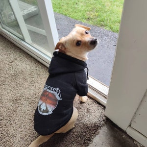 Dog Hoodie, Rock Dog Clothing, Heavy Metal Dog Hoodie, Large