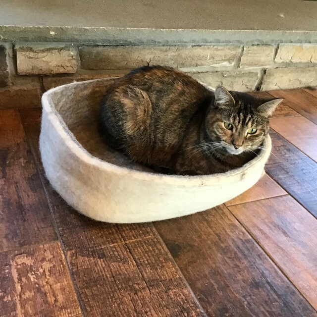 Wooly Bowls Modern Wool Cat Beds by WoolyBowls on Etsy
