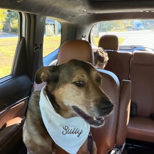 Kari added a photo of their purchase