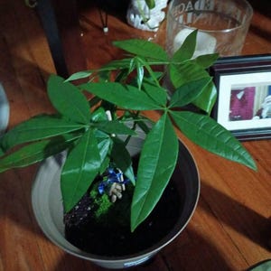 Marilyn added a photo of their purchase