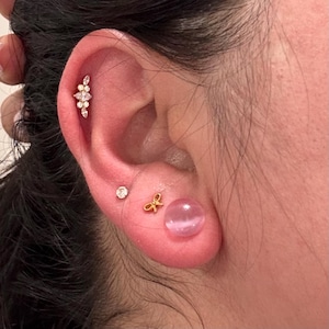 Stephanie added a photo of their purchase