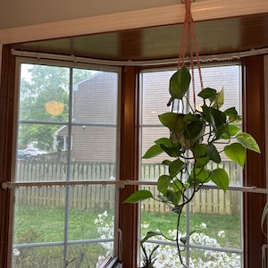 Kimberly added a photo of their purchase
