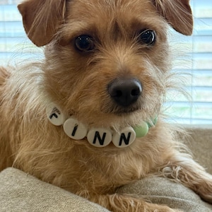 Cassandra heeft een foto van zijn/haar aankoop toegevoegd