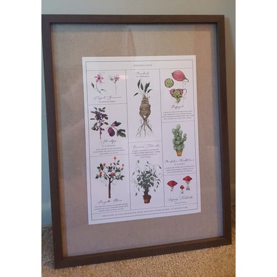 Herbology Chart A3 Print - Etsy