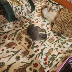Karen さんが購入した商品の写真を追加しました
