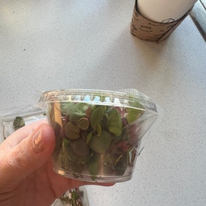 Kristal added a photo of their purchase