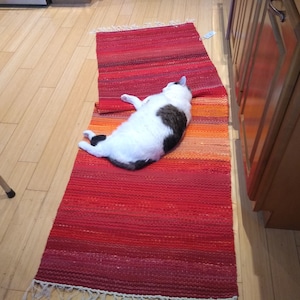 Paula added a photo of their purchase