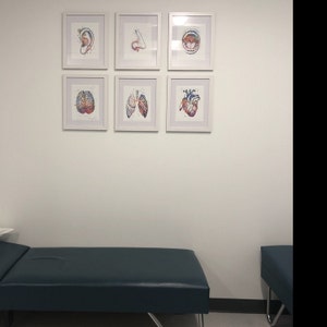School Nurse Office Decor, Anatomy Art Set of 3 Watercolor Prints Human ...