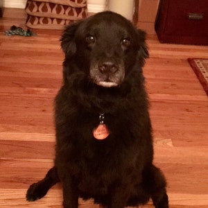 Etsy buyer added a photo of their purchase