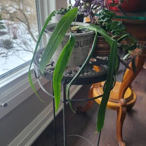 Eve a ajouté une photo de son achat