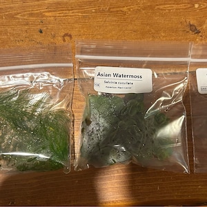 Wulf hat ein Foto des gekauften Artikels hinzugefügt