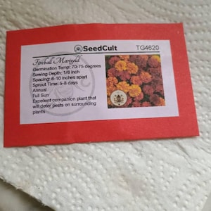 David added a photo of their purchase