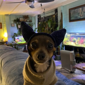 Suzie added a photo of their purchase