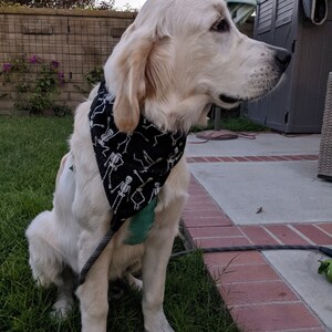 Wendy ha añadido una foto de su compra