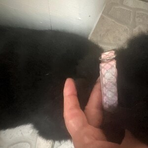 Sandi added a photo of their purchase