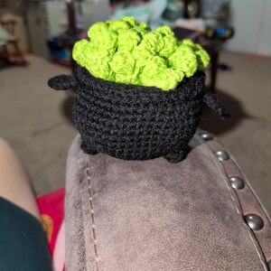 Carrie added a photo of their purchase