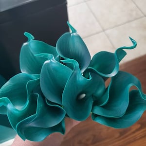 Tracie added a photo of their purchase