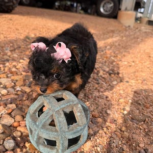 Anna added a photo of their purchase