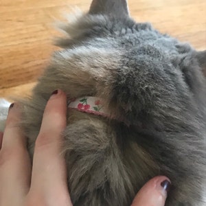 H added a photo of their purchase