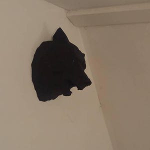 Craig さんが購入した商品の写真を追加しました