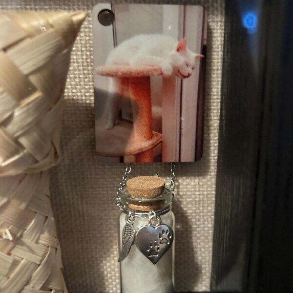 Personalised Pet Fur Memorial Jar, Memorial Bottle For Pet Hair, Custom Dog Keepsake With Pet Name, Pet Memorial Urn Glass Bottles, Loss Of Dog Cat