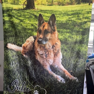 Jess added a photo of their purchase