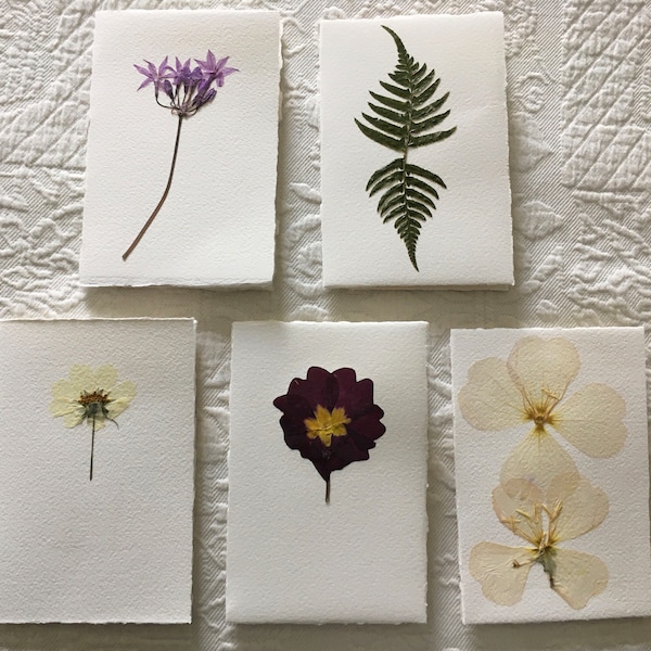 Pressed Flower Stationery Set - Variety Pack Handmade Floral Blank Note ...
