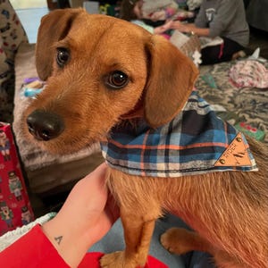 Abbie added a photo of their purchase