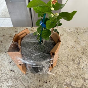 Molly added a photo of their purchase