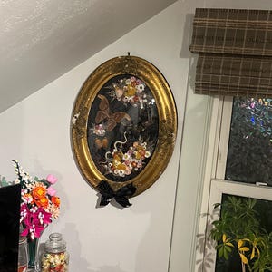 Wren added a photo of their purchase