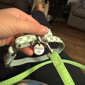 Wilton added a photo of their purchase