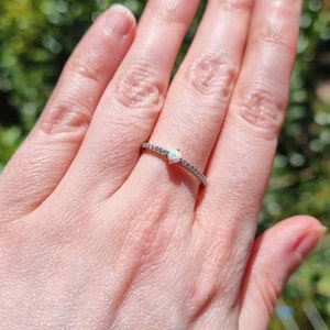 Shan added a photo of their purchase