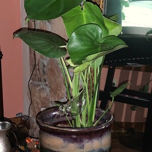 Robin added a photo of their purchase
