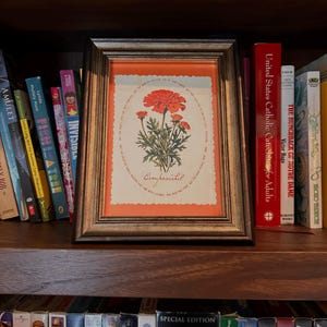 Kyndel heeft een foto van de aankoop toegevoegd